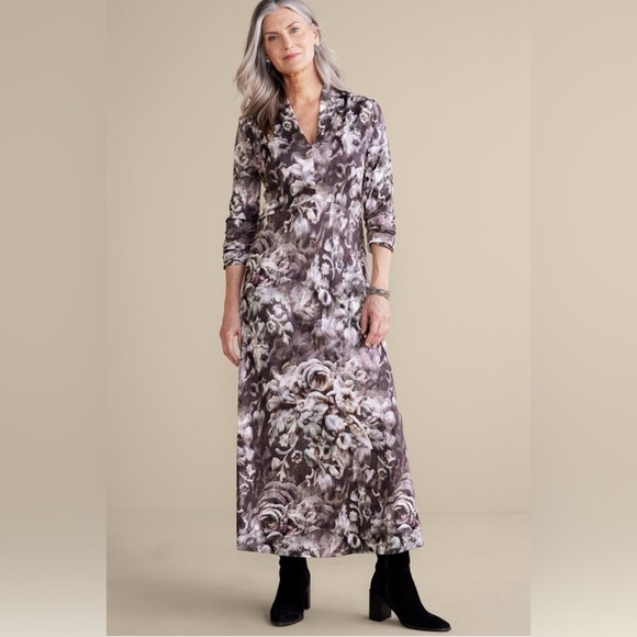 Soft surroundings Naima Dress maxi - Picture 4 of 15